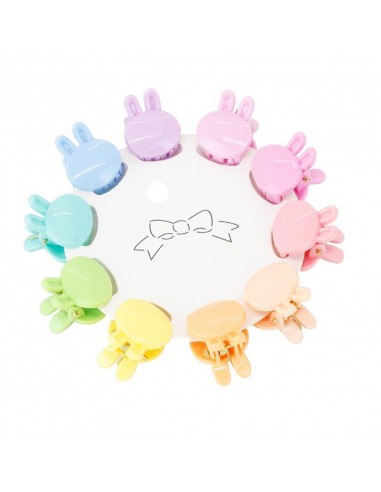 Broches Set x10 Rabbit