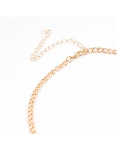 Collar Multi Charm Western