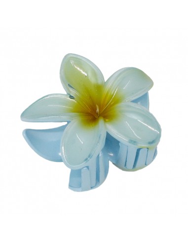 Broche Flor Hawaiana
