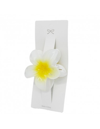 Broche Flor Hawaiana