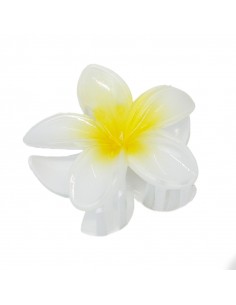 Broche Flor Hawaiana