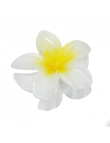 Broche Flor Hawaiana