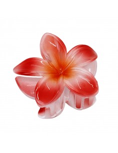 Broche Flor Hawaiana