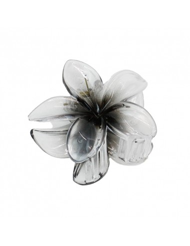 Broche Flor Hawaiana