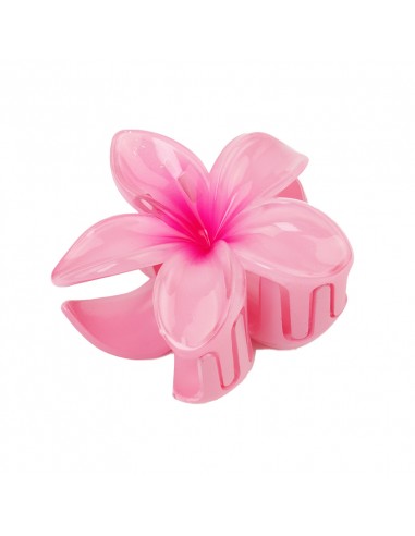 Broche Flor Hawaiana