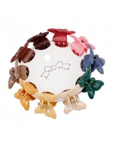 Broches Set x10 Fly Winter