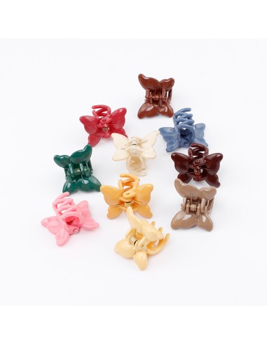 Broches Set x10 Fly Winter