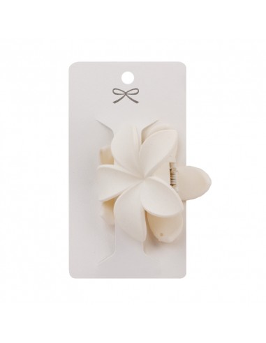Broche Hawaii
