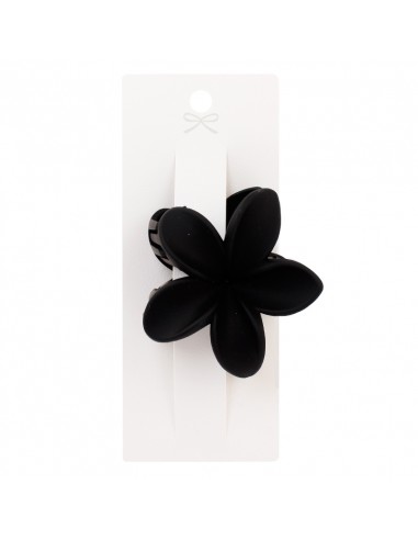 Broche Flor Hawaiana Winter