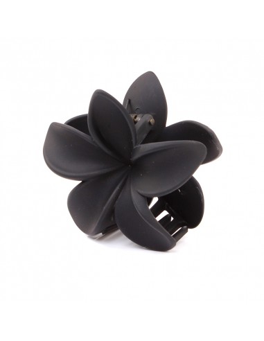 Broche Flor Hawaiana Winter