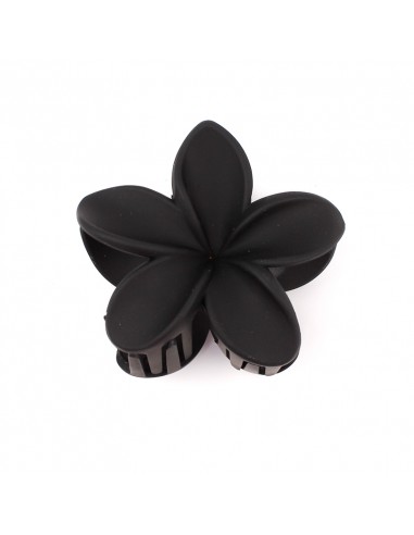 Broche Flor Hawaiana Winter