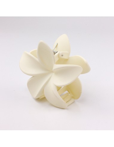 Broche Flor Hawaiana Winter