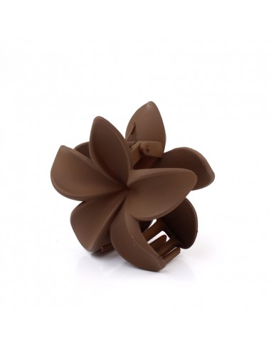 Broche Flor Hawaiana Winter