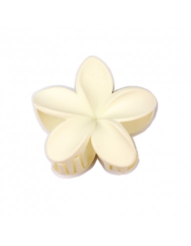 Broche Flor Hawaiana Winter