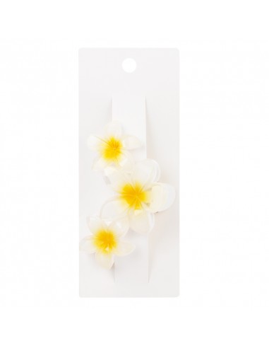 Broche Flor Hawaiana