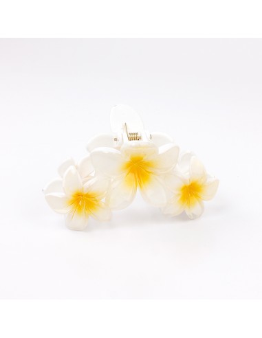 Broche Flor Hawaiana