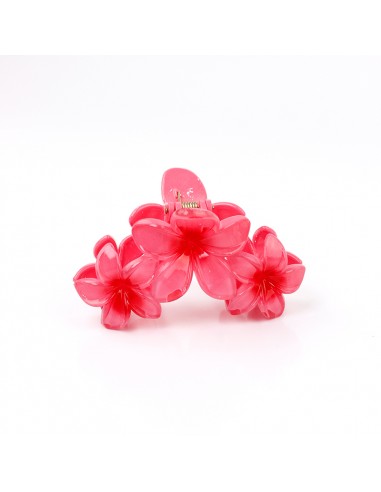 Broche Flor Hawaiana
