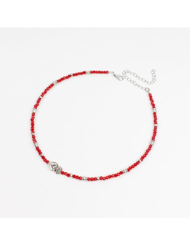 Collar Miracle Color