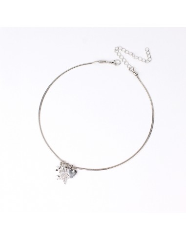 Collar Cutie Silver Charms
