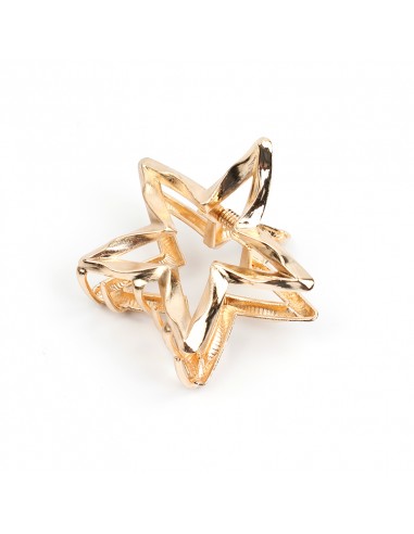 Broche Metal Star Gold