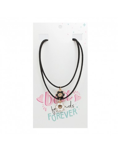 Collar Best Friend Flowers