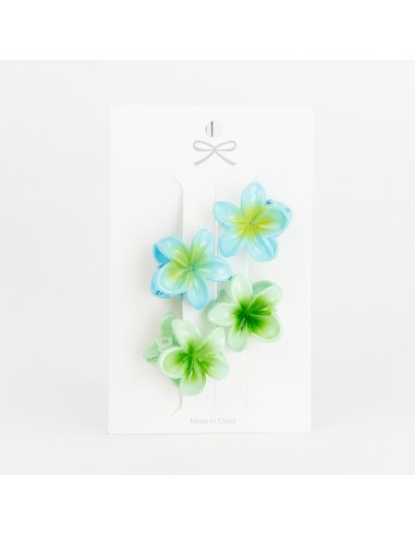 Set x 4 Mini Broche Hawaii Pastel