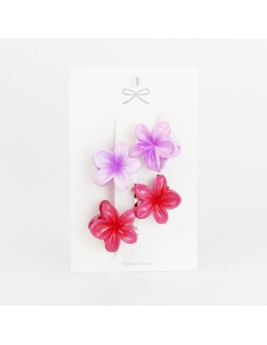 Set x 4 Mini Broche Hawaii Pastel