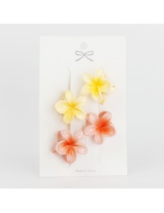 Set x 4 Mini Broche Hawaii Pastel