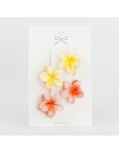Set x 4 Mini Broche Hawaii Pastel