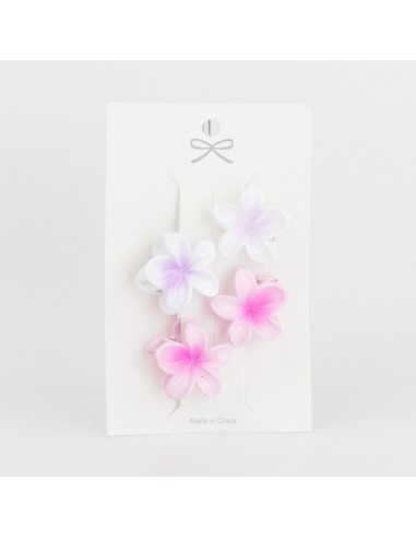 Set x 4 Mini Broche Hawaii Pastel