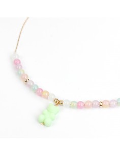 Collar Color Teddy
