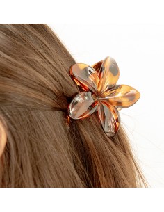 Broche Flor Hawaiana Carey