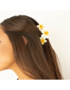 Broche Flor Hawaiana