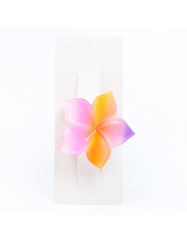 Broche Flower Colors