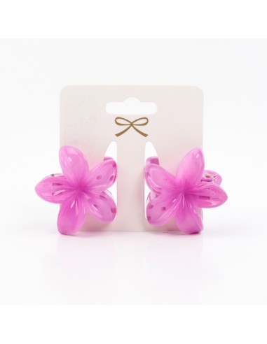 Broche Set x2 Mini Hawaiana