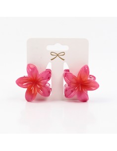 Broche Set x2 Mini Hawaiana