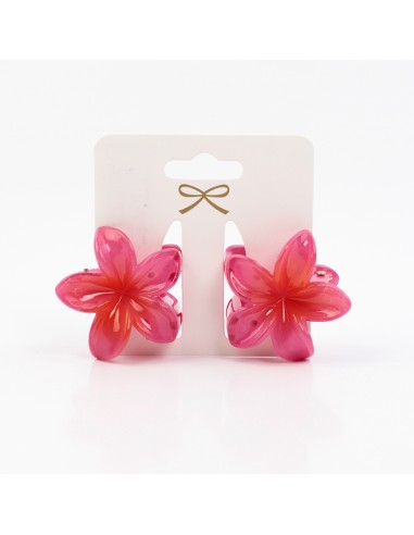 Broche Set x2 Mini Hawaiana