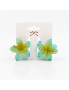 Broche Set x2 Mini Hawaiana