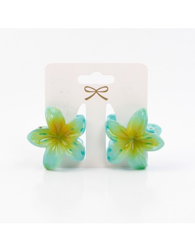 Broche Set x2 Mini Hawaiana