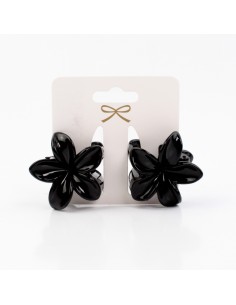 Broche Set x2 Mini Hawaiana
