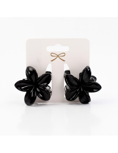 Broche Set x2 Mini Hawaiana
