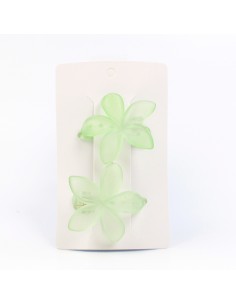 Hebilla Set x 2 Hawaii