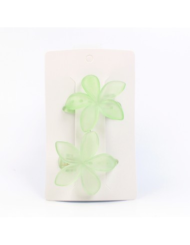 Hebilla Set x 2 Hawaii