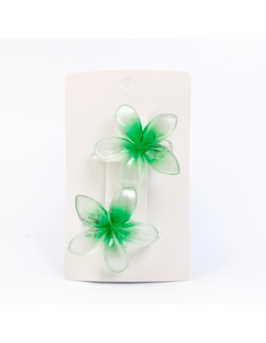 Hebilla Set x 2 Hawaii