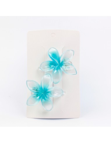 Hebilla Set x 2 Hawaii