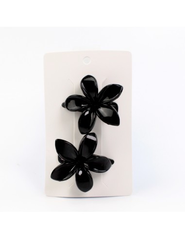 Hebilla Set x 2 Hawaii