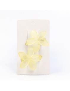 Hebilla Set x 2 Hawaii