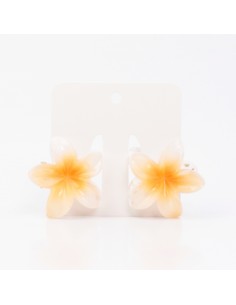 Broche Set x2 Mini Hawaiana