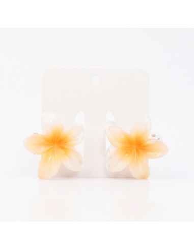 Broche Set x2 Mini Hawaiana