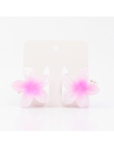 Broche Set x2 Mini Hawaiana